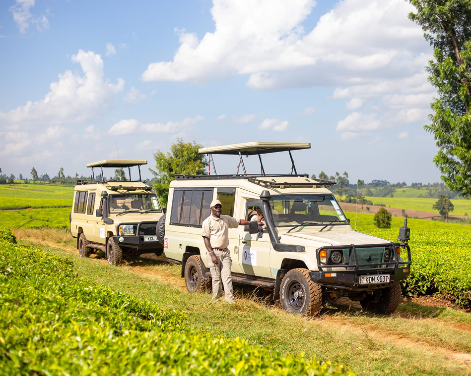 Two safari vehicles on a dirt road with a guide and tourists in a green field.