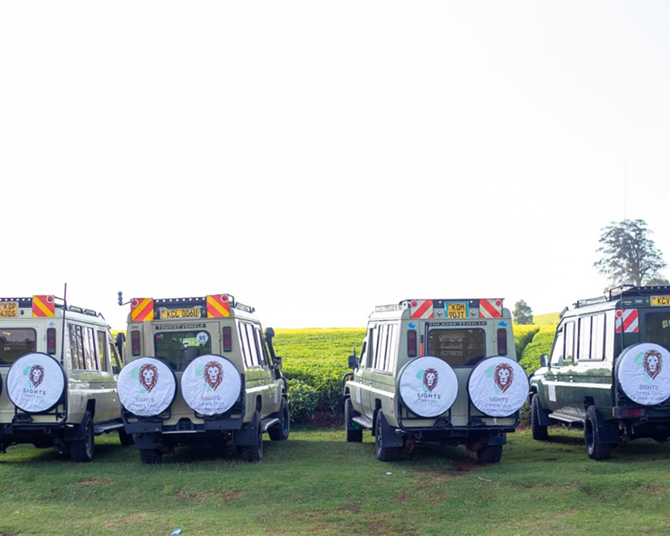 Four white off-road vehicles parked in a row on a grassy field.