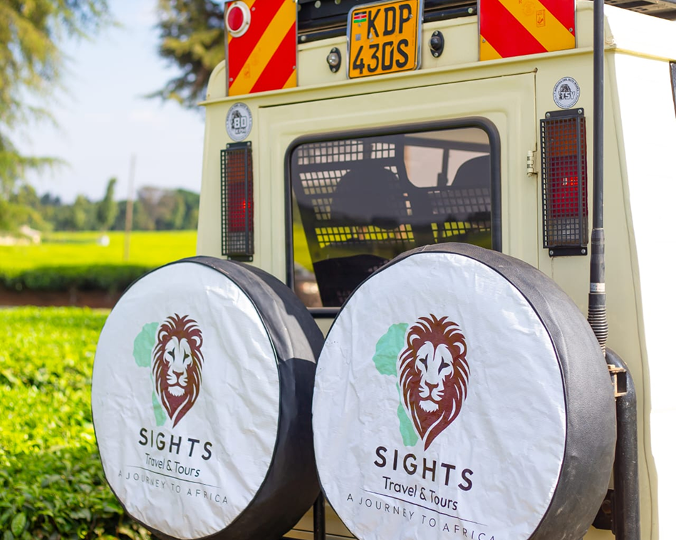 Two spare tire covers with lion and cheetah logos on a safari vehicle.
