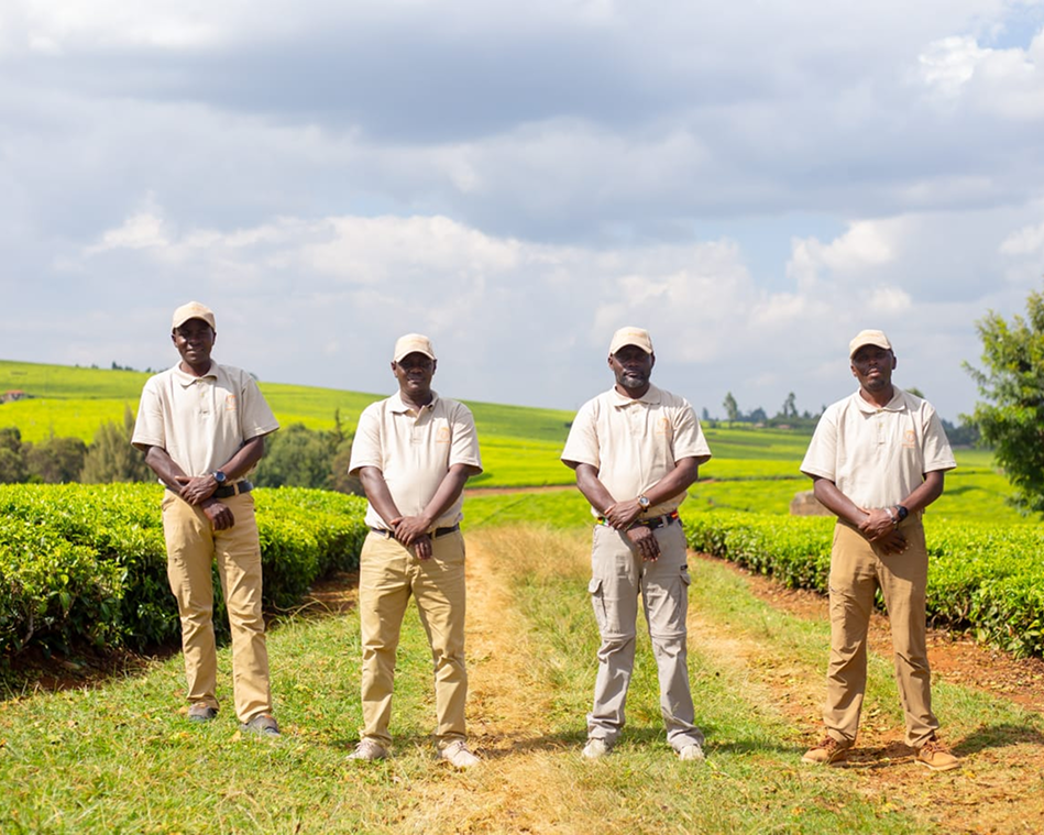 Four men standing on a farm field under a cloudy sky.
