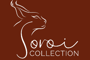 Logo featuring a stylized cat face with 'Oroi Collection' text on brown background.