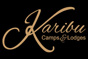 Elegant logo with 'Karibu Camps & Lodges' in gold script on black.